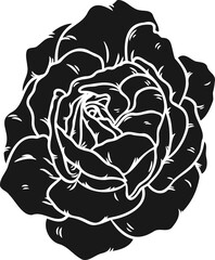 Obraz premium Burgundy iceberg rose png.Beautiful flower on transparent background.