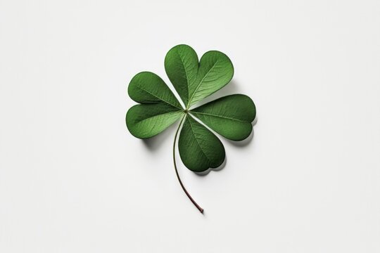 four leaf clover isolated, white background, generative ai