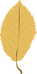 Leaf Illustration Element