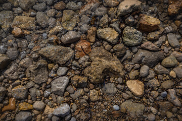 Rocky shapes on the beach. textures and patterns generated on the stones of the Ibiza.