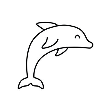 the dolphin jumps while closing its eyes