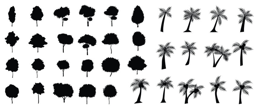 Set of trees silhouette vector. Forest trees, jungle, coconut tree, nature, ecology vector symbol hand drawn collection isolated on white background. Design for logo, sticker, branding, artwork.