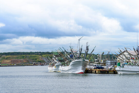 「モユルリ島」の写真素材 138件の無料イラスト画像 Adobe Stock