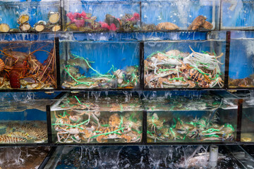 Selling seafood in water tank at seafood restaurant