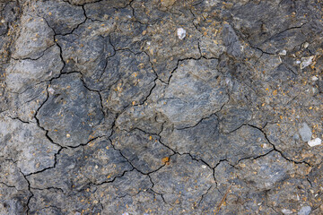 Rocky shapes on the beach. textures and patterns generated on the stones of the Ibiza.