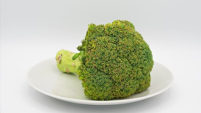Rotting broccoli time-lapse. 40 days in 25 seconds