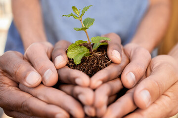 Plants, people and hands of teamwork, support and charity for earth day, sustainability or climate...