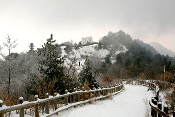 a landscape on a snowy mountain