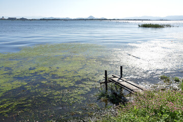 Fototapeta na wymiar 堅田　湖畔の風景　滋賀県大津市