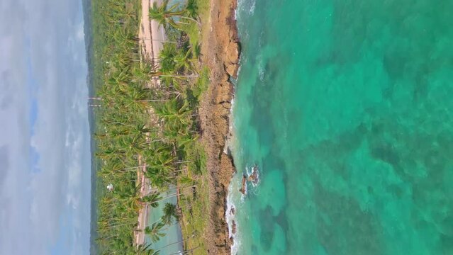 Aerial orbit shot of tropical island with palm trees and rocky coastline during sunny day - Clear Caribbean Sea water at Playa Los Coquitos - Vertical shot