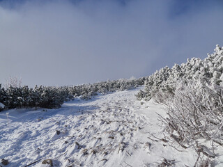 Beautiful winter day on the mountain
