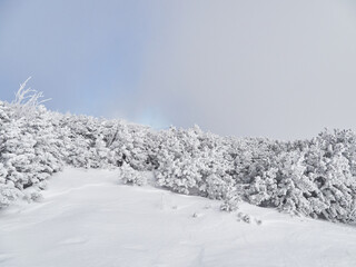 Beautiful winter day on the mountain