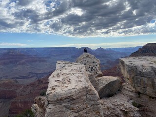 Fototapeta premium Condor sitting on a rock at the Grand Canyon