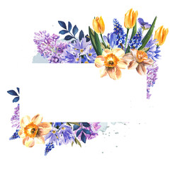 frame of spring flowers on a white background. watercolor illustration