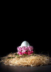 Easter egg with pink roses on a straw nest on a black background