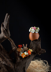 Easter eggs decorated with flowers on a wooden branch on a black background