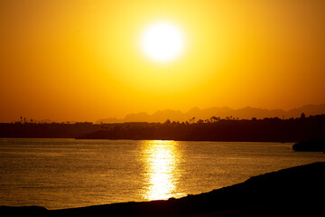 Naklejka premium Shore silhouette with palm trees on the sea.