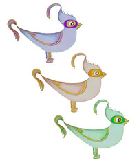 A beautiful light bird is colored