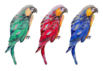 Blue macaw parrot in the set