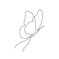 Butterfly One line drawing on white background