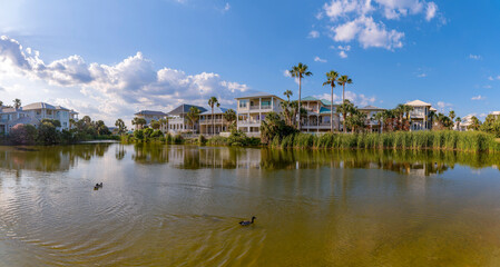 Fototapeta premium Destin, Florida- Freshwater lake with ducks at the front of houses. Lake panorama with tall grasses on shore near the three-storey homes against the sunny sky with clouds background.
