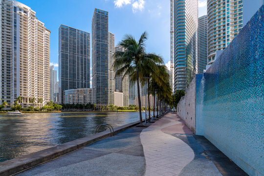 Miami River Walk with wall and coconut trees against the high-rise buildings at Miami, Florida. Concrete path near the river on the right with views of modern multi-storey buildings.