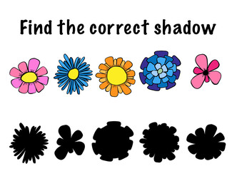 Find correct flowers  shadow.