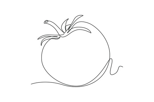 Single one line drawing tomato. Vegetable concept. Continuous line draw design graphic vector illustration.