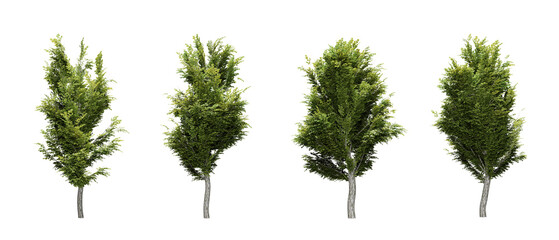 Set of green trees in transparent background, use for visualization in architectural design, 3d render illustration.