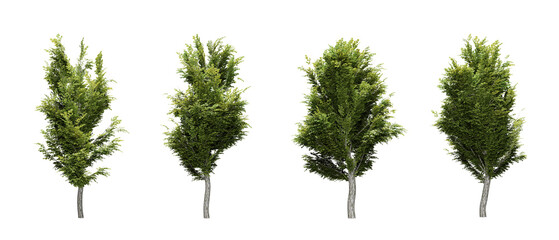 Fototapeta premium Set of green trees in transparent background, use for visualization in architectural design, 3d render illustration.