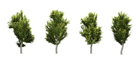 Set of green trees in transparent background, use for visualization in architectural design, 3d render illustration.
