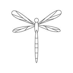 Hand drawn dragonfly illustration. Isolated on white background