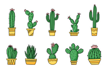 Set cute cartoon cactus and succulents in pots. Isolated vector illustration on white background.