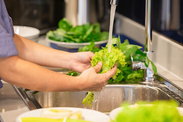Woman's hands washing lettuce leaves in sink in kitchen.