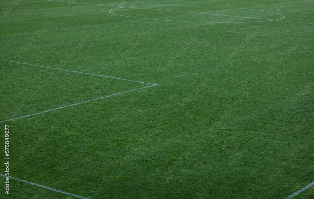 Wall mural soccer field green.