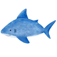 Cute smiling Watercolor Shark isolated on transparent background