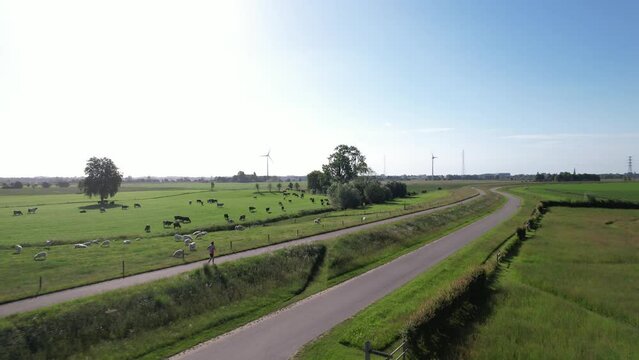 Morning sun slow aerial following of a trail runner training exercise with sustainable energy electricity windmills on the horizon in Dutch river IJssel landscape with floodplains against a blue sky