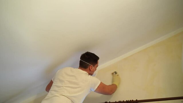 Professional cleaner cleans the walls from mold with a sponge in gloves