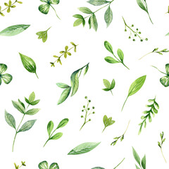 Watercolor seamless pattern with fresh greenery. Floral design. Botanical print. Hand drawn illustration. Spring design for Easter decor, fabric, textile, wallpaper, wrapper, card,  scrapbooking.