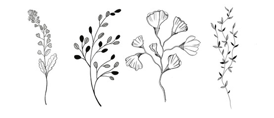 Graphic set of plants and flowers 