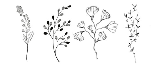 Fototapeta premium Graphic set of plants and flowers 