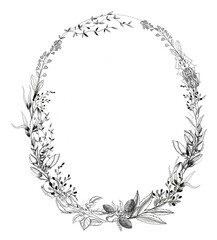 Oval frame with graphics flowers,