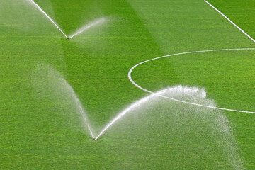 Water sprinklers watering a football field so that the pitch is in good condition - obrazy, fototapety, plakaty