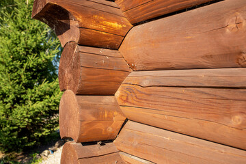 Part of the wall of the national house from round pine logs close-up. Photo of architectural objects from natural materials. 