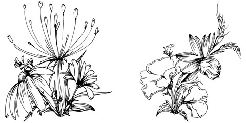 Line drawing flowers, wild flowers, hand drawn vector illustration.