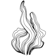 Hand drawn corals isolated on white. Sketch drawing