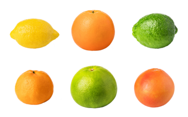 citrus fruit set on transparent background. png file