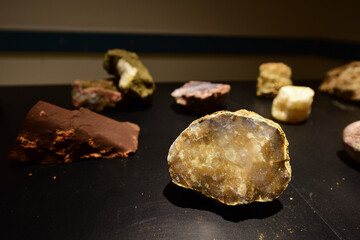 Fossil Stones from Millions of Years Ago