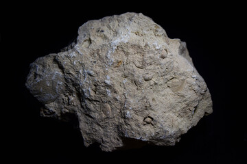 Fossil Stones from Millions of Years Ago