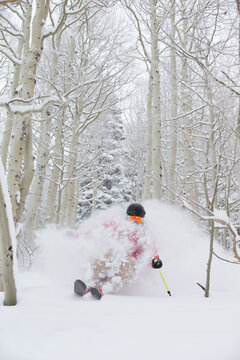 A man skiing fresh powder in the aspen trees of Snowbird, Utah